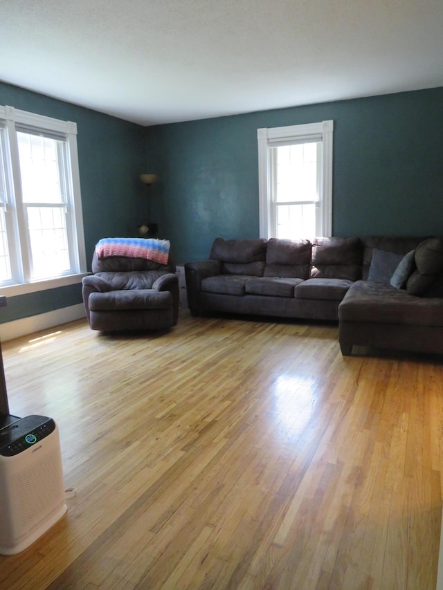 703 1st St SW, Wadena, MN 56482 - living room with light wood-style floors and healthy amount of natural light