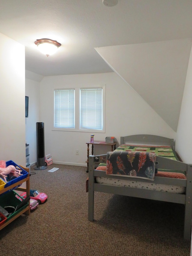 703 1st St SW, Wadena, MN 56482 - bedroom with carpet floors and lofted ceiling