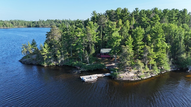 2355 Keyes Is, International Falls, MN 56649 - photo 4