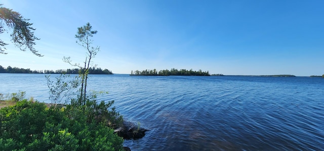 2355 Keyes Is, International Falls, MN 56649 - photo 13