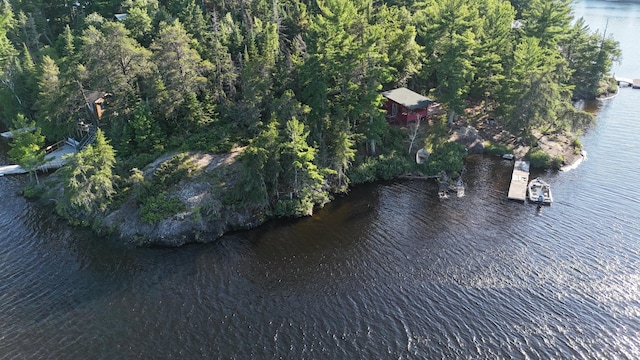 2355 Keyes Is, International Falls, MN 56649 - photo 17