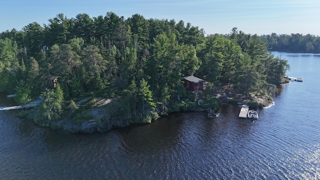 2355 Keyes Is, International Falls, MN 56649 - photo 18