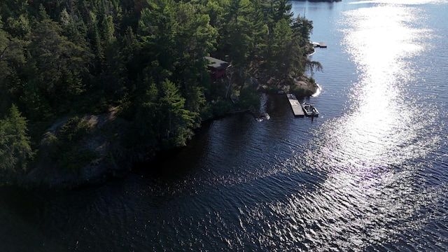 2355 Keyes Is, International Falls, MN 56649 - photo 19