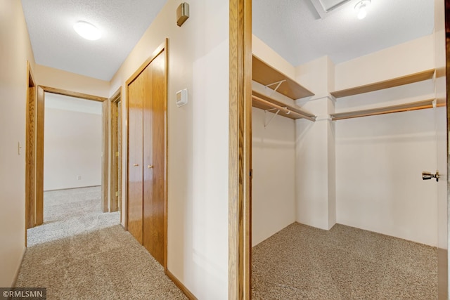 911 Lawnview Ave, Shoreview, MN 55126 - walk in closet featuring carpet floors