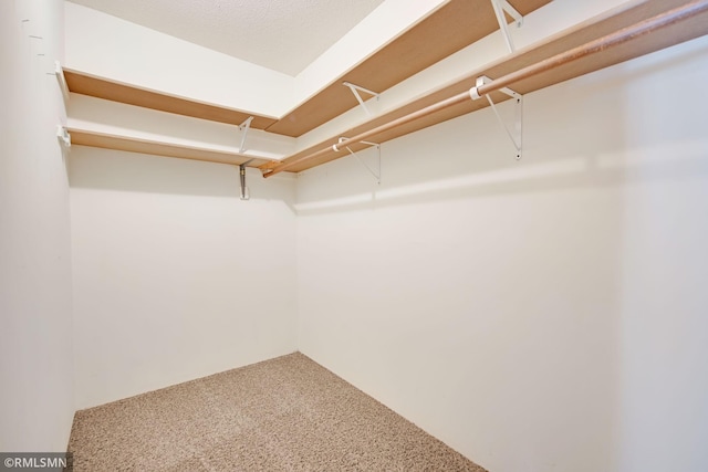 911 Lawnview Ave, Shoreview, MN 55126 - spacious closet with carpet floors