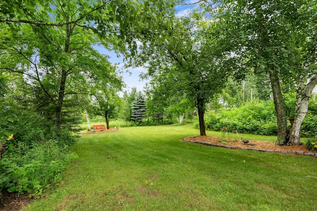 39747 Meadow Lily Ln, Barry Twp, MN 55037 - photo 46