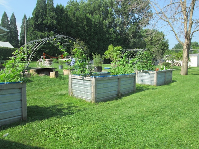 526 Red Wing Ave, Kenyon, MN 55946 - view of grassy yard featuring a vegetable garden