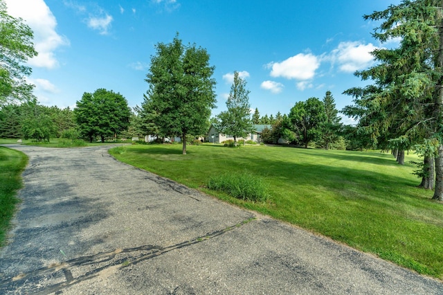 39883 Clitherall Lake Rd, Clitherall, MN 56524 - photo 91