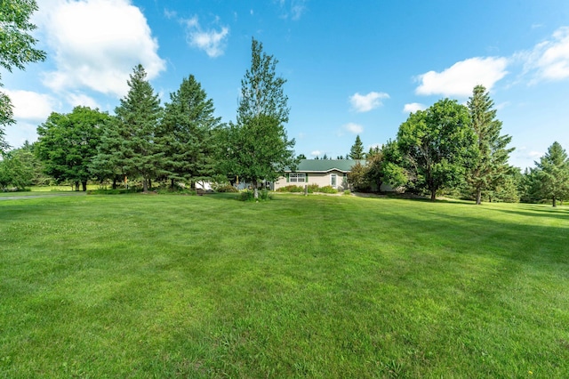 39883 Clitherall Lake Rd, Clitherall, MN 56524 - photo 70