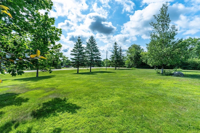 39883 Clitherall Lake Rd, Clitherall, MN 56524 - photo 6