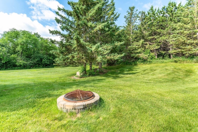 39883 Clitherall Lake Rd, Clitherall, MN 56524 - photo 90