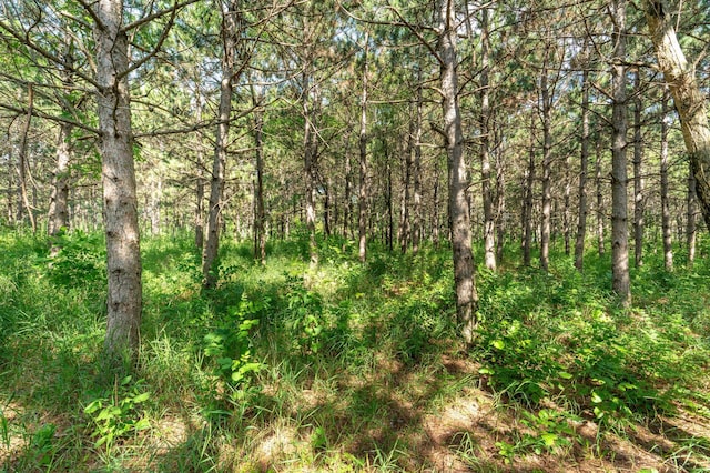 39883 Clitherall Lake Rd, Clitherall, MN 56524 - photo 87