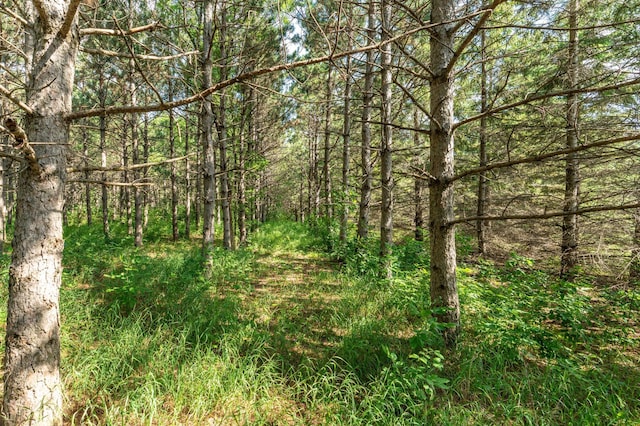 39883 Clitherall Lake Rd, Clitherall, MN 56524 - photo 89