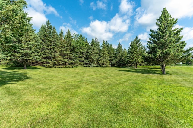 39883 Clitherall Lake Rd, Clitherall, MN 56524 - photo 11
