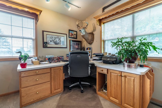 39883 Clitherall Lake Rd, Clitherall, MN 56524 - photo 37