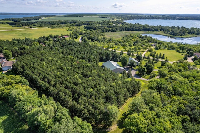 39883 Clitherall Lake Rd, Clitherall, MN 56524 - photo 82