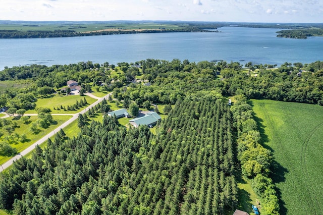 39883 Clitherall Lake Rd, Clitherall, MN 56524 - photo 85