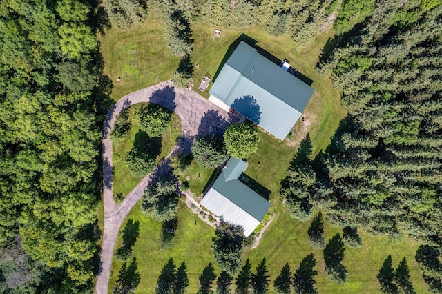 39883 Clitherall Lake Rd, Clitherall, MN 56524 - photo 92