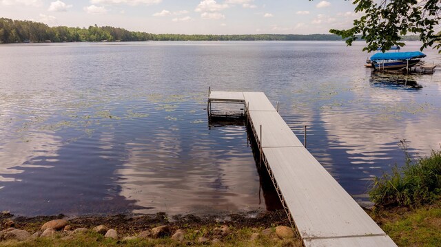 40699 Mary Lake Rd, Little Pine Twp, MN 56447 - photo 20