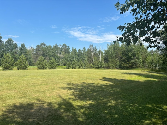 12684 43rd Ave SW, Sylvan Twp, MN 56473 - view of grassy yard