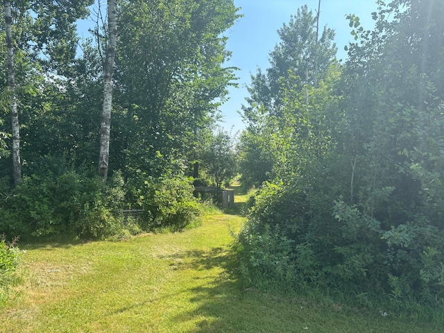 12684 43rd Ave SW, Sylvan Twp, MN 56473 - view of wooded area