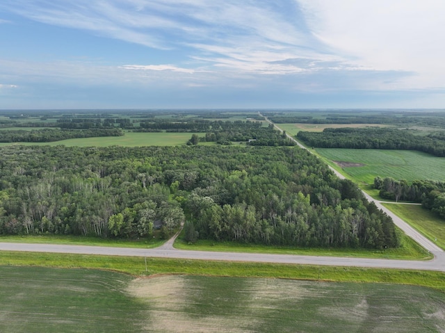 4086 County Highway 29, Wild Rice Twp, MN 56584 - photo 3