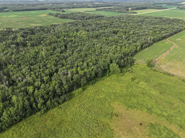 4086 County Highway 29, Wild Rice Twp, MN 56584 - photo 4