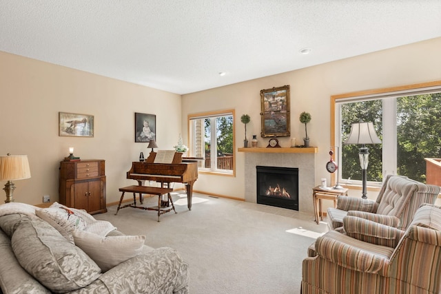 10931 185th Cir NW, Elk River, MN 55330 - living room with carpet floors and a tiled fireplace