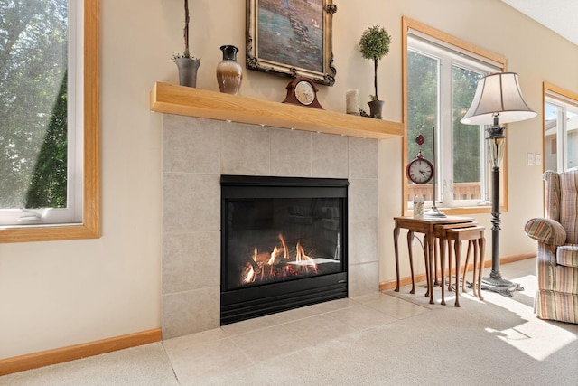 10931 185th Cir NW, Elk River, MN 55330 - detailed view of a fireplace and baseboards