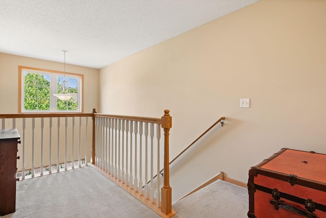 10931 185th Cir NW, Elk River, MN 55330 - stairway with carpet flooring and baseboards