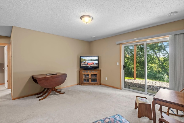10931 185th Cir NW, Elk River, MN 55330 - living area with carpet flooring and a textured ceiling
