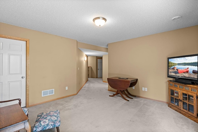 10931 185th Cir NW, Elk River, MN 55330 - living area with carpet and a textured ceiling
