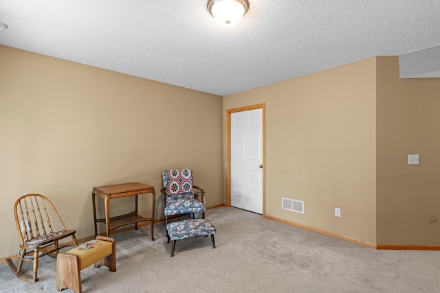 10931 185th Cir NW, Elk River, MN 55330 - sitting room with carpet floors and a textured ceiling