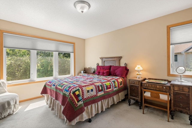 10931 185th Cir NW, Elk River, MN 55330 - bedroom featuring carpet floors