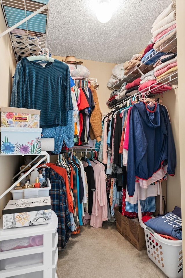 10931 185th Cir NW, Elk River, MN 55330 - walk in closet featuring carpet floors