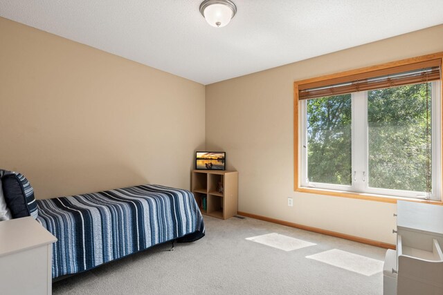 10931 185th Cir NW, Elk River, MN 55330 - bedroom featuring carpet and baseboards