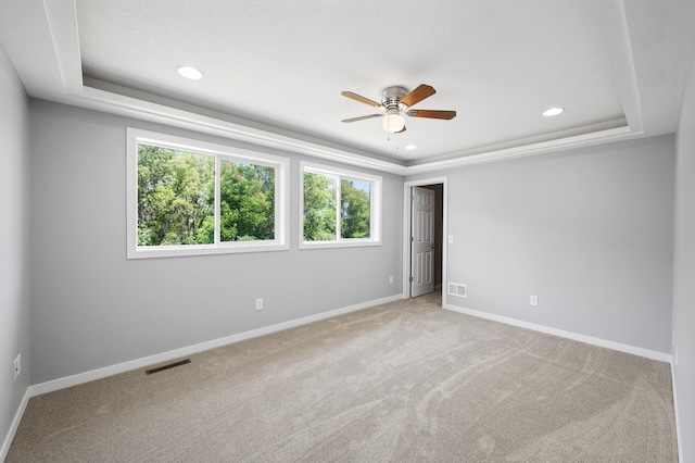 509 2nd St S, Montrose, MN 55363 - carpeted spare room featuring a raised ceiling, plenty of natural light, ceiling fan, and recessed lighting