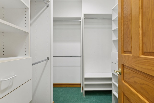5938 Burke Trl, Inver Grove Heights, MN 55076 - photo 22