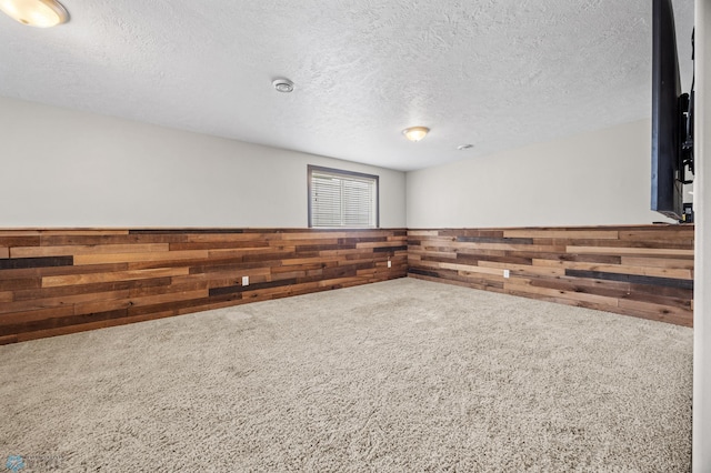 4416 10th St W, Fargo, ND 58078 - spare room with wooden walls, carpet, a textured ceiling, and a wainscoted wall