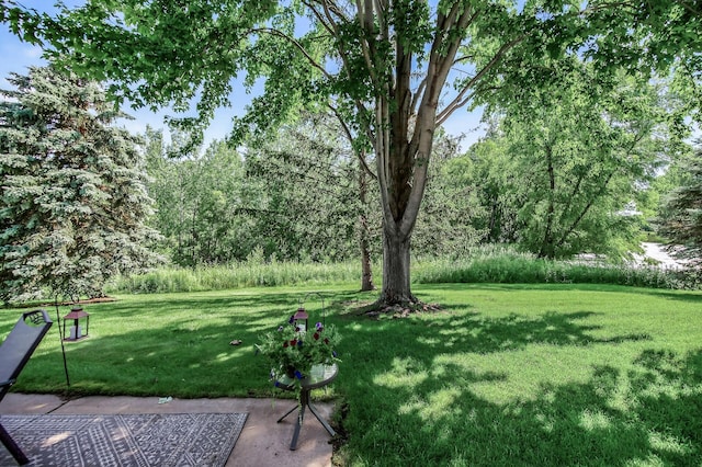9024 Preserve Trl, Savage, MN 55378 - photo 20