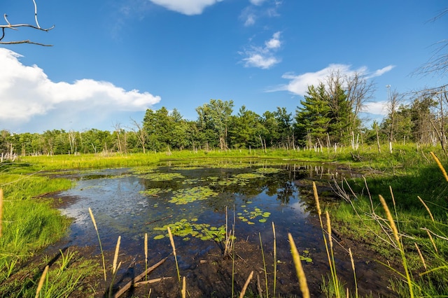 5788 County Road C, Jackson Twp, WI 54893 - photo 15