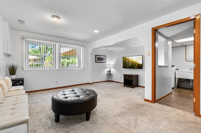 5833 Perry Ave N, Crystal, MN 55429 - carpeted living area featuring a textured ceiling and recessed lighting