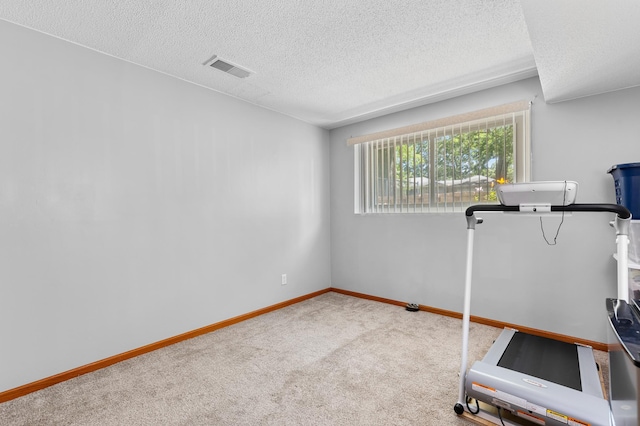5833 Perry Ave N, Crystal, MN 55429 - exercise room featuring carpet flooring and a textured ceiling
