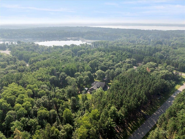 24348 Fishtrap Rd, Nisswa, MN 56468 - photo 49