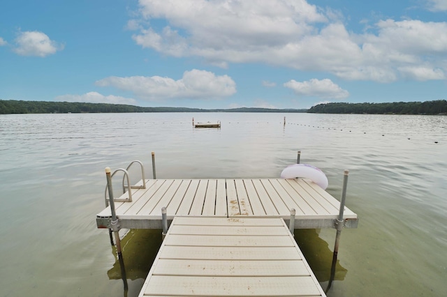 11609 Sylvan Rd, East Gull Lake, MN 56401 - photo 2