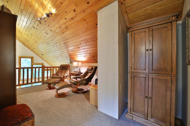 11609 Sylvan Rd, East Gull Lake, MN 56401 - photo 26