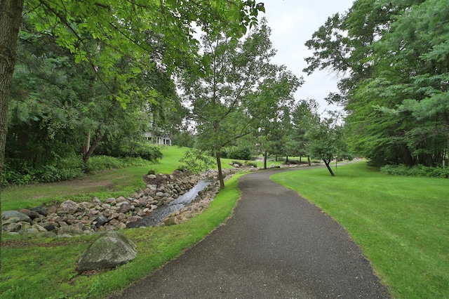 11609 Sylvan Rd, East Gull Lake, MN 56401 - photo 59