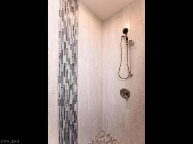 0000 Central Dr NE, Cambridge, MN 55008 - full bathroom featuring tiled shower