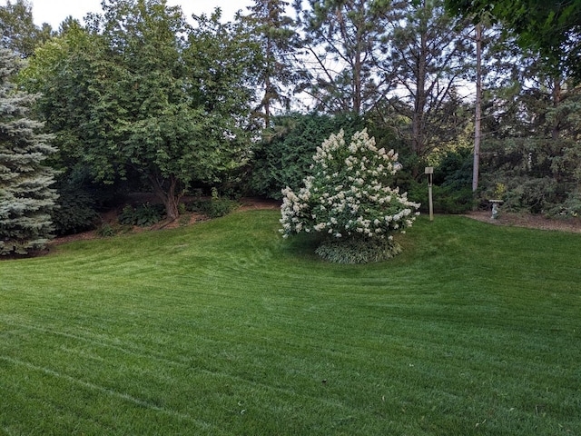 16597 Kenning Rd, Eden Prairie, MN 55347 - photo 64