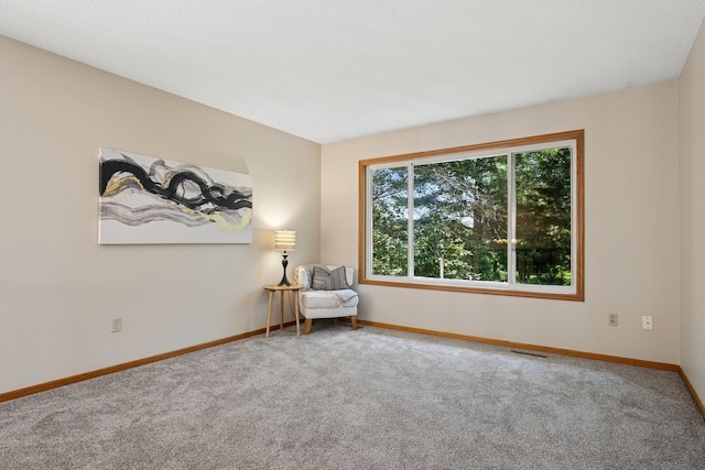 12940 Isanti St NE, Blaine, MN 55449 - photo 23